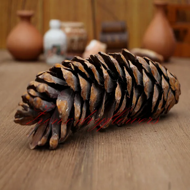 Pine-Flower-Dried-Botanical-Long