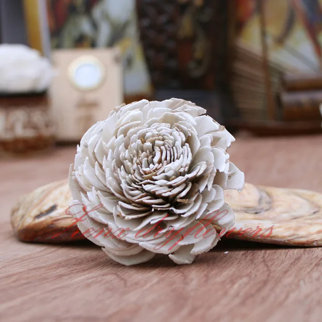 Sola-Flower-Skin-White-Charki