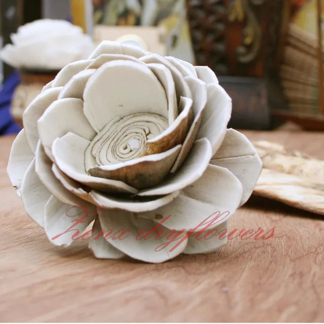 Sola-Flower-Skin-White-Lotus