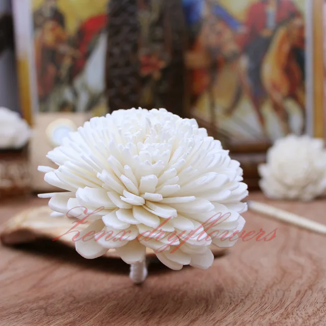 Sola-Flower-White-Bali