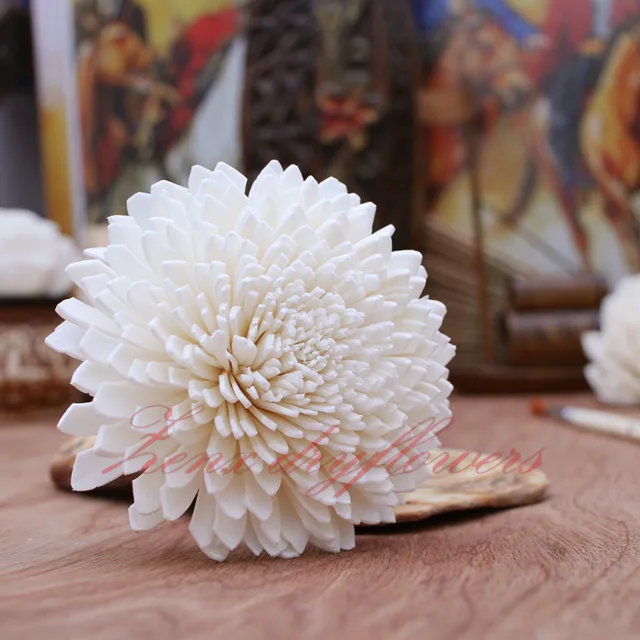 Sola-Flower-White-Belly