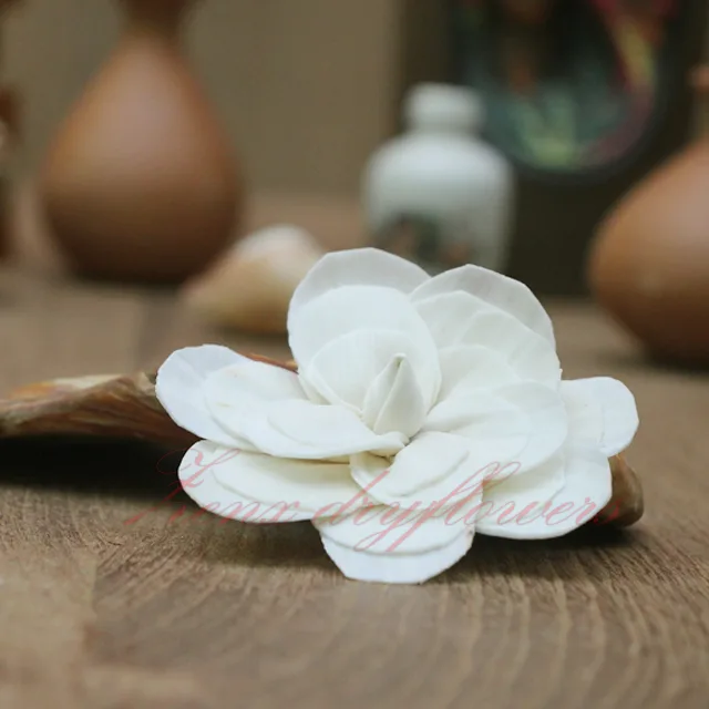 Sola-Flower-White-Camelia-New