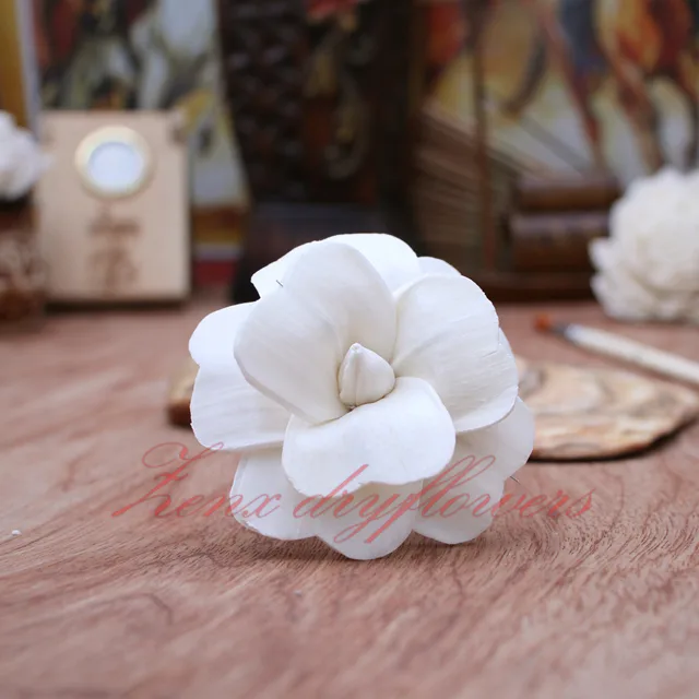 Sola-Flower-White-Camelia