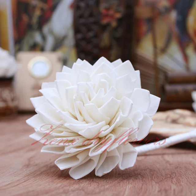Sola-Flower-White-Cut-Dalhia