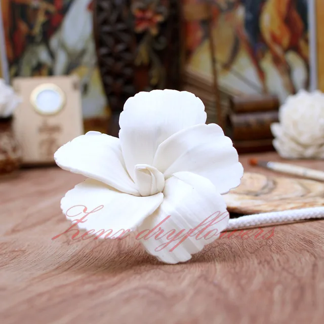 Sola-Flower-White-Hibiscus