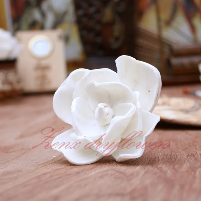 Sola-Flower-White-Magnolia