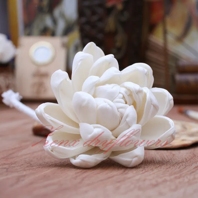 Sola-Flower-White-Mokka