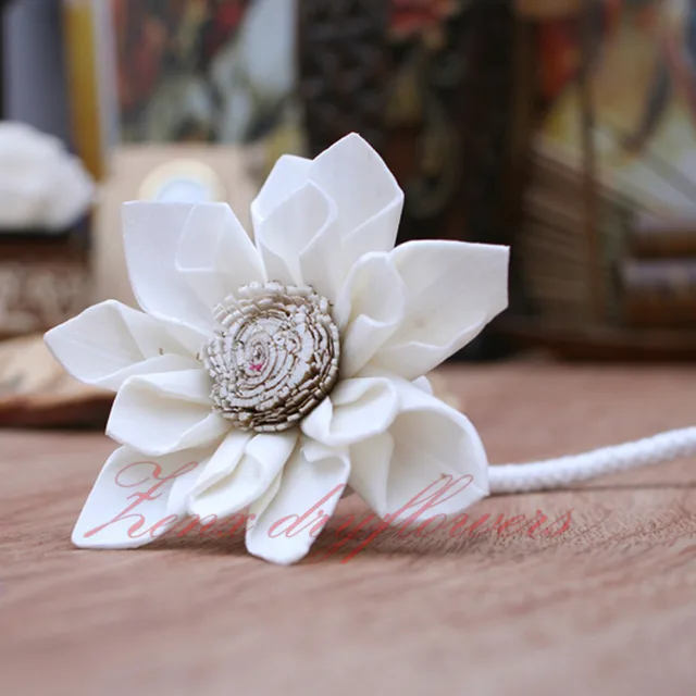 Sola-Flower-White-Multi-Star-Daisy