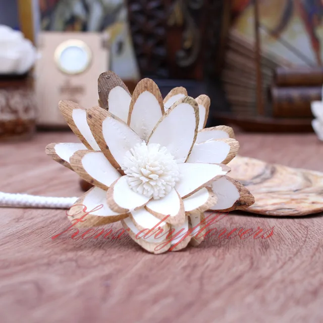 Sola-Flower-Chip-Shalu