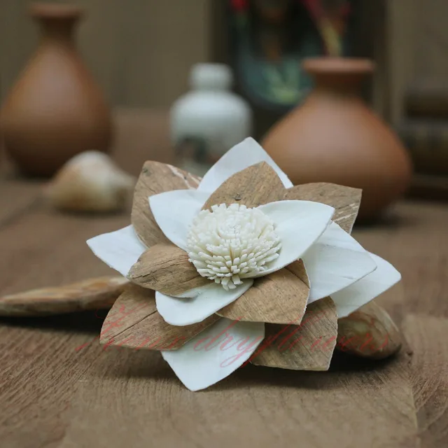 Sola-Flower-Chip-Zig-Protea