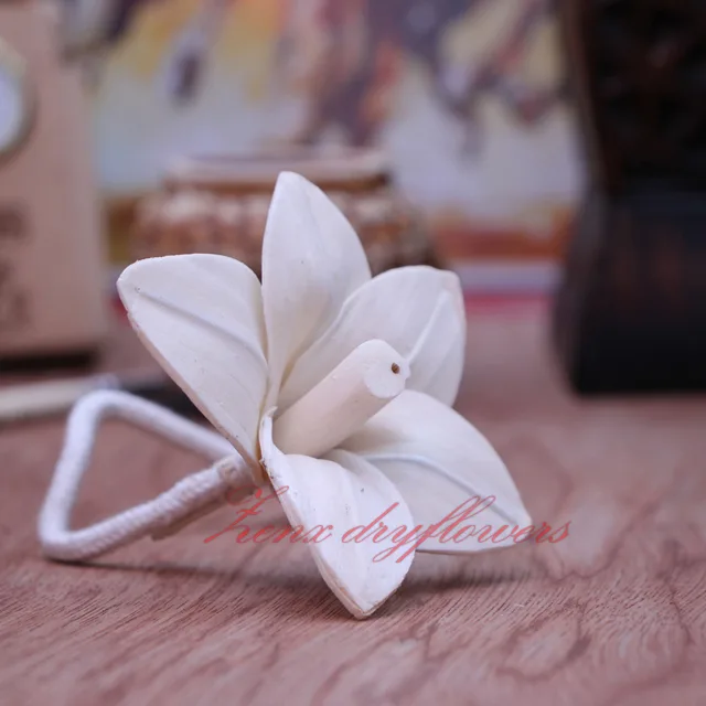 Sola-flower-Champa-White