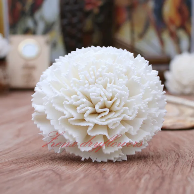 Sola-flower-White-Goldstar