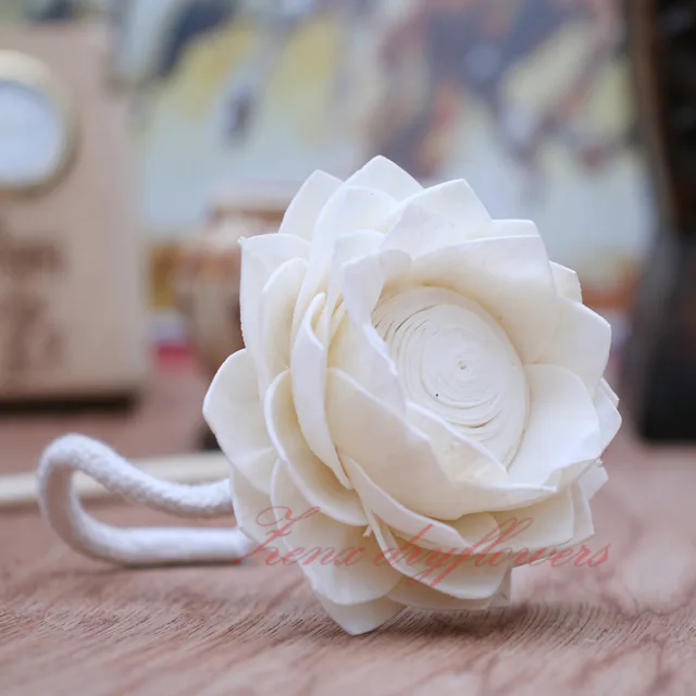 Sola-flower-White-Lotus