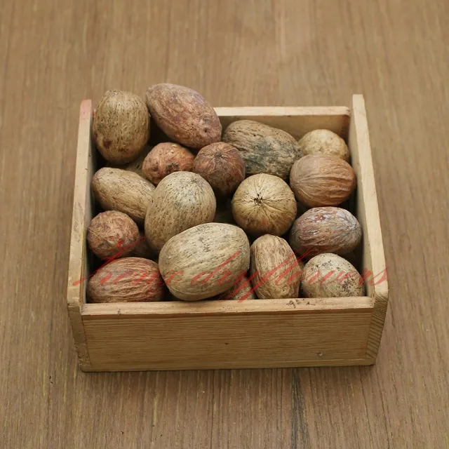 Amra-Pod-in-a-basket