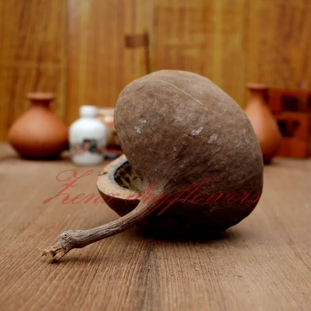 Buddha-Nut-Natural