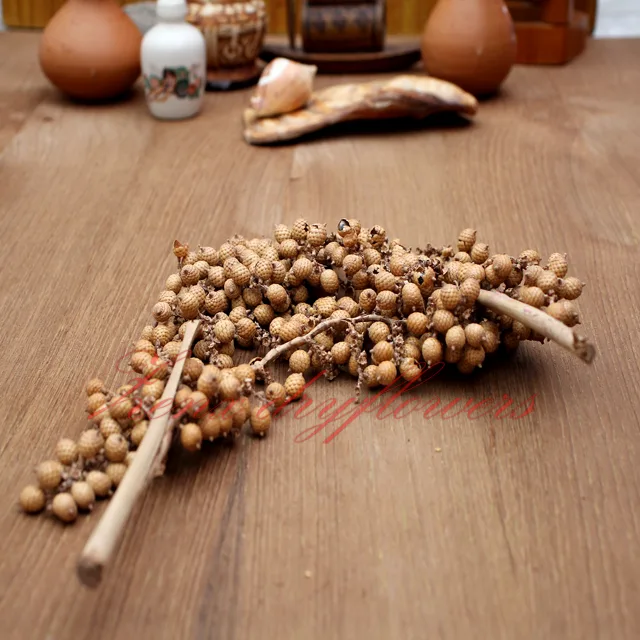 Dried-Botanicals-Canella-Berries