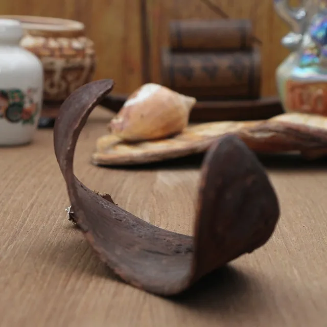 Elephant-Ear-Long