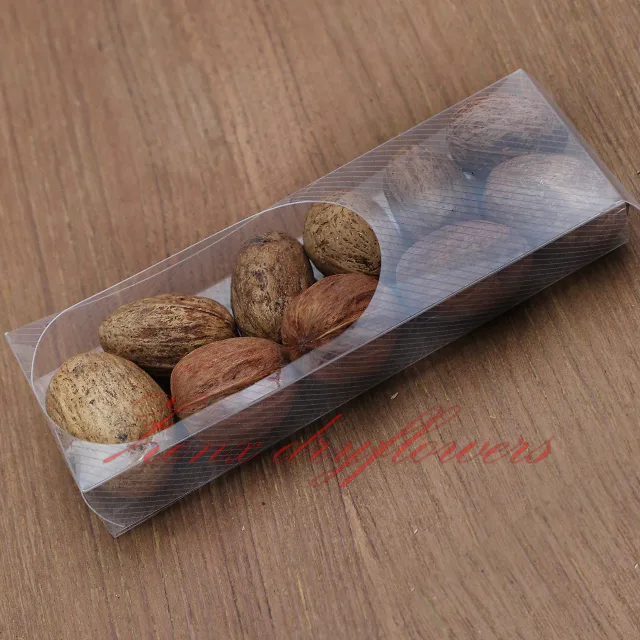 Exotic-Arrangements-Amra-pod