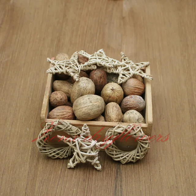 Exotic-arrangements-Lata-Amra-Dried-BotanicalsExotic-arrangements-Lata-Amra-Dried-Botanicals