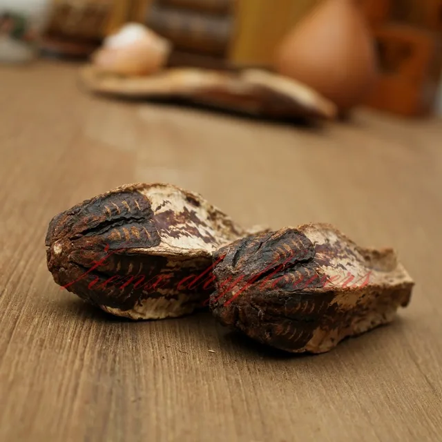 Mahogany-pod-Natural