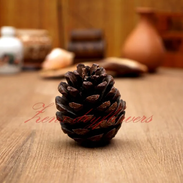 Pine-Cone-Small