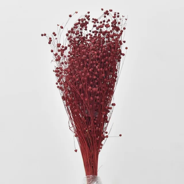 Dried-Bubble-Grass-Dyed-Red